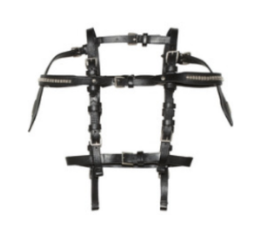 Alexander McQueen - New with Tags Leather Harness – LUXHAVE